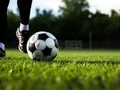 万博体育,资讯,万博ManBetX,万博体育,万博ManBetX,万博体育官网,万博体育平台,万博体育APP,万博体育注册