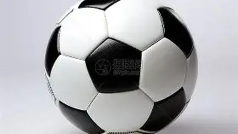 拜仁官方确认：德里赫特加盟转会费高达7700万欧元